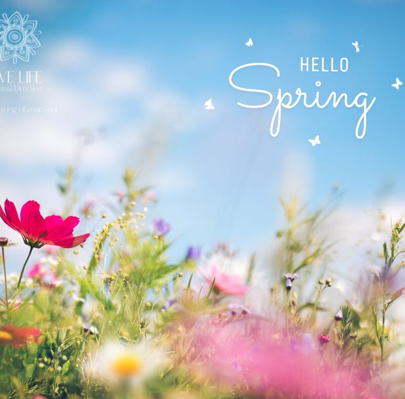 Spring Scene, Hello Spring!