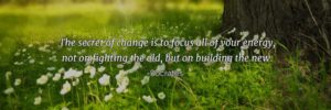 A quote by Socrates
